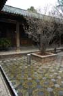 1557_LiJiang@YunNan