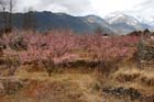 1610_LiJiang@YunNan
