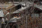 1660_LiJiang@YunNan