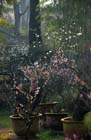 2217_KunMing