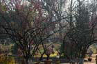 2224_KunMing