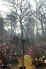 2231_KunMing
