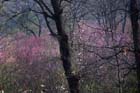 2251_KunMing