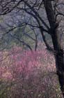 2252_KunMing