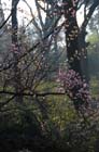 2259_KunMing