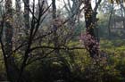 2260_KunMing
