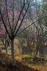 2307_KunMing