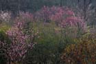 2315_KunMing