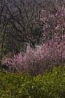 2323_KunMing