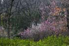 2331_KunMing