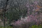 2333_KunMing