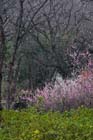 2336_KunMing