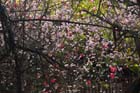 2427_KunMing