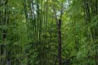 2439_KunMing