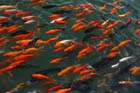 2447_KunMing
