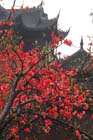 2945_ChengDu