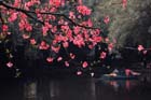 2954_ChengDu