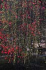 3008_ChengDu