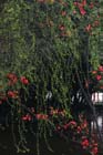 3047_ChengDu