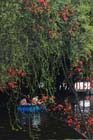 3051_ChengDu