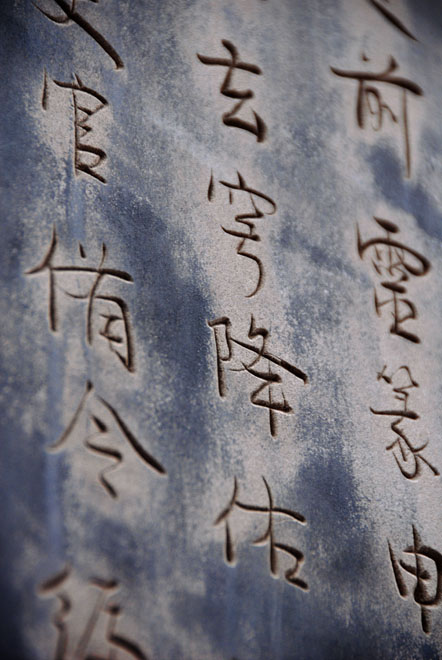 DSC_0500Chengdu