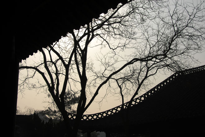 DSC_0854YangZhou