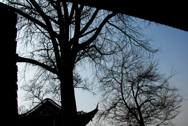 DSC_0984YangZhou