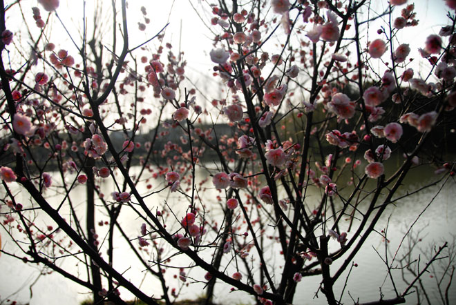 DSC_1027YangZhou