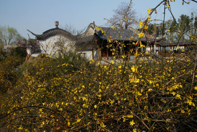 DSC_1029YangZhou