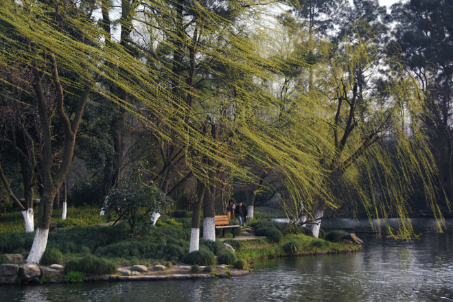 DSC_1185HangZhou