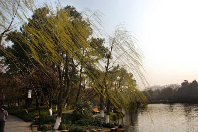 DSC_1198HangZhou