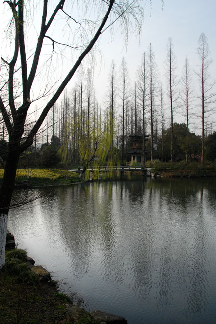DSC_1202HangZhou