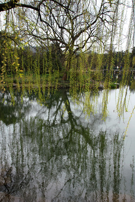 DSC_1347HangZhou