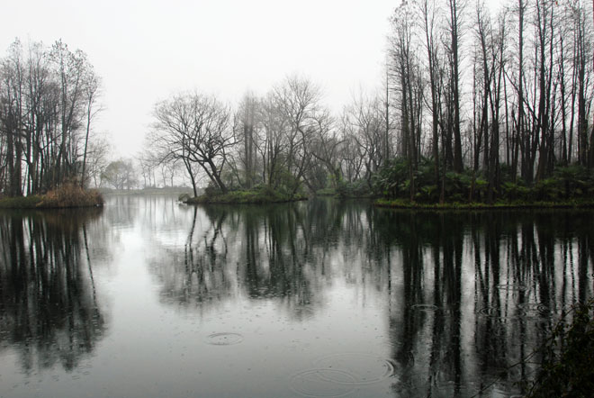 DSC_1477HangZhou