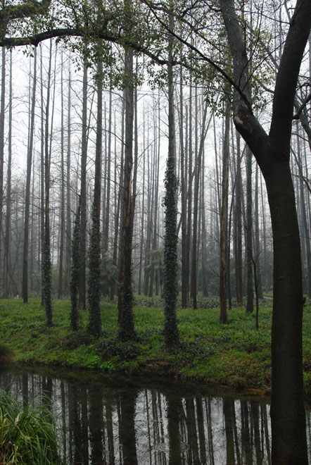 DSC_1619HangZhou