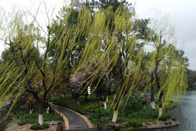 DSC_1731HangZhou