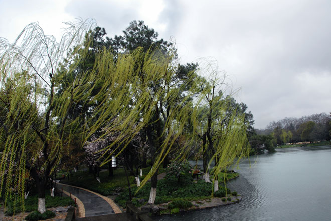 DSC_1733HangZhou