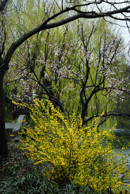 DSC_1740HangZhou