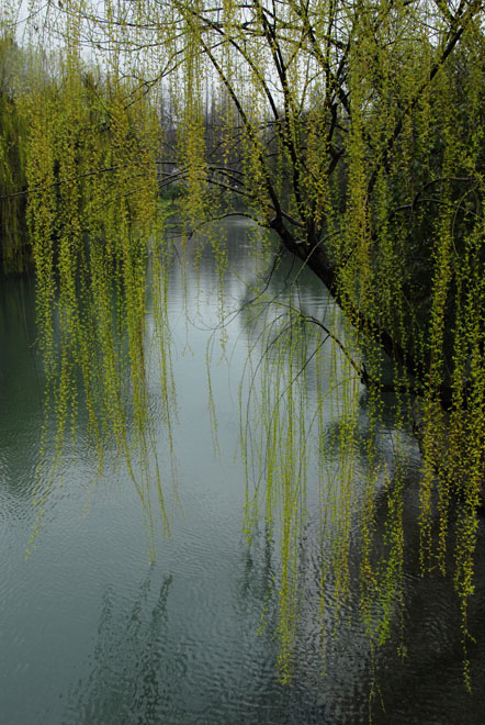 DSC_1754HangZhou