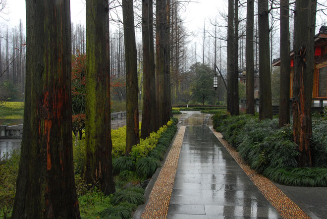 DSC_1815HangZhou