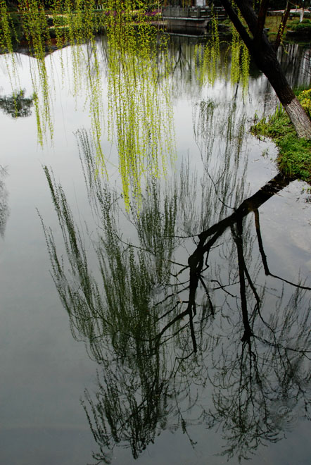 DSC_1826HangZhou