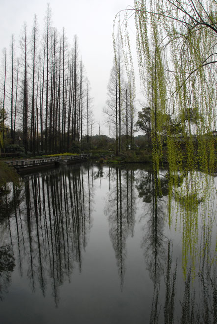 DSC_1834HangZhou