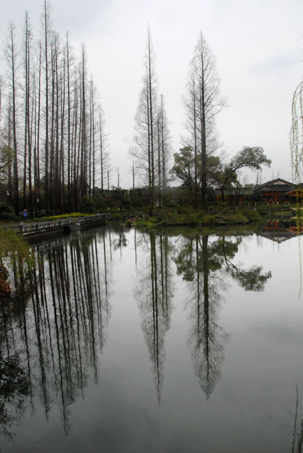 DSC_1841HangZhou