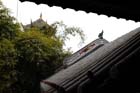 DSC_0402Chengdu