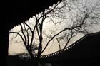 DSC_0854YangZhou