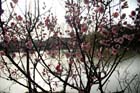DSC_1027YangZhou