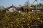 DSC_1029YangZhou