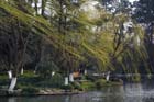 DSC_1185HangZhou