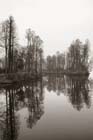 DSC_1546HangZhou