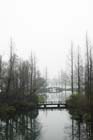 DSC_1590HangZhou